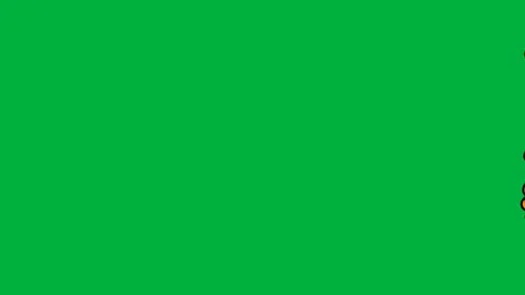 Motion Graphic Animation of calendula flower on Green Screen - Seamless Loop Tra Stock Footage 320375602