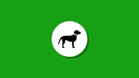 A motion graphic animation of a dog icon in white circle on green screen, i.. Stock Footage 327762910