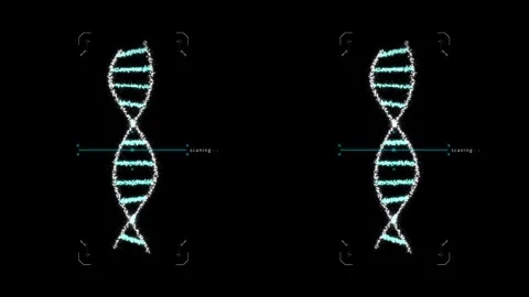 Motion graphic of detailed digital interface of futuristic DNA analysis Stock Footage 243661710