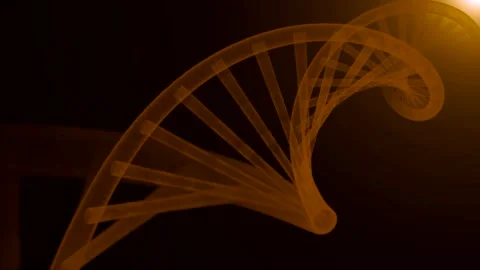 Motion graphic of detailed digital interface DNA analysis process 3D Stock Footage 256063909