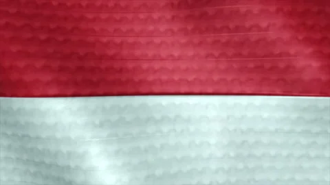 Motion graphic : fabric pattern background. Stock Footage 157322523