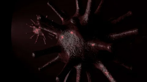 Motion Graphic Video stock 127831560