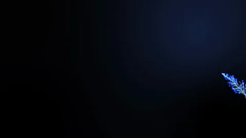 Motion Graphic Glittering Particle Wave, introductory video Stock Footage 123369067
