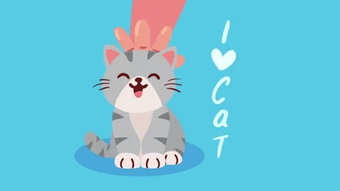 A motion graphic of a hand petting a cute happy tabby cat with a blue backg.. 스톡 동영상 339200497