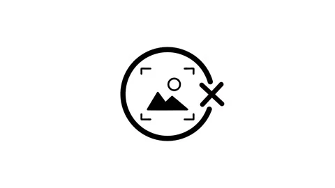 A motion graphic of an image icon with a camera focus and a cross symbol, i.. Stock Footage 346497400