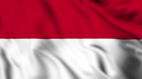 Motion graphic of Monaco national flag waving. Stock Footage 338040969