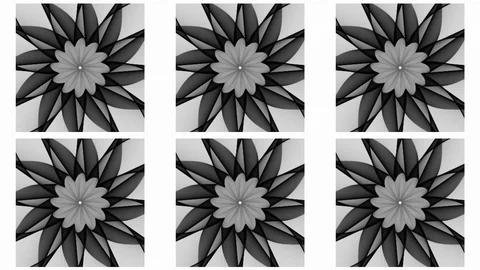 Motion graphics animated rotating growing flower pedals Stock Footage 94757585