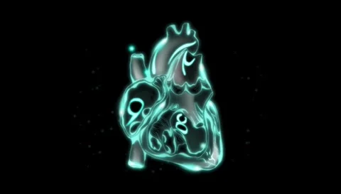 Motion graphics animation of human anatomical heart Stock Footage 333438417