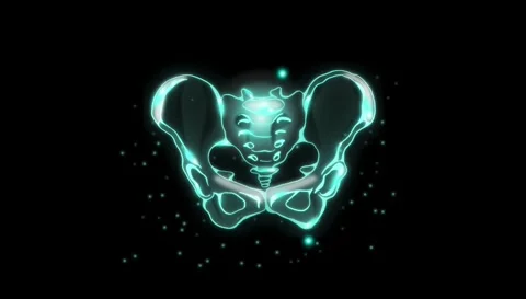 Motion graphics animation of human anatomical pelvis bones Stock Footage 333438423