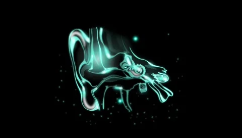Motion graphics animation of human ear Stock Footage 333438413