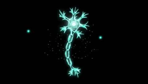 Motion graphics animation of human neuron Stock Footage 333438429