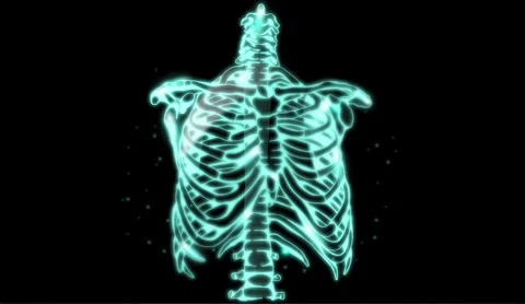 Motion graphics animation of human sternum bones Stock Footage 333438400