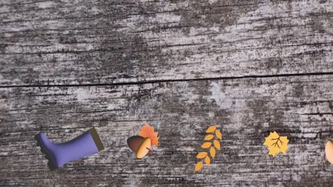 Motion graphics with autumn elements design on the wood texture screen Stock-Footage 285298323