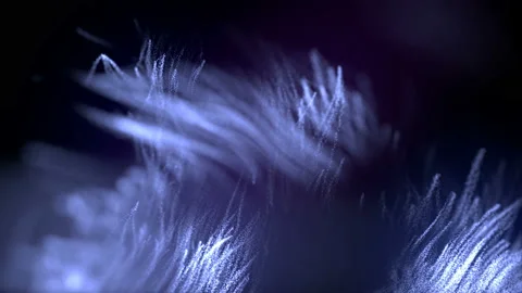 Motion graphics background. Abstract blue particles. 3d render 4K UHD resolution Stock Footage 123016700