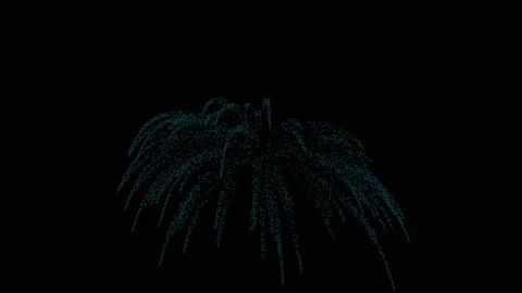 Motion Graphics Firework animation. Stock Footage 218276973