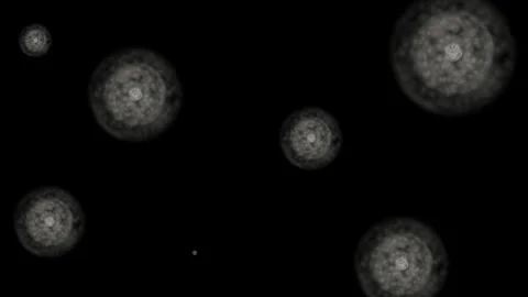Motion Graphics S Stock Footage 305664283