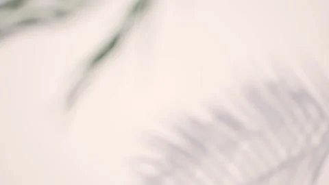 Motion graphics silhouette of leaf design element Stock Footage 245710158