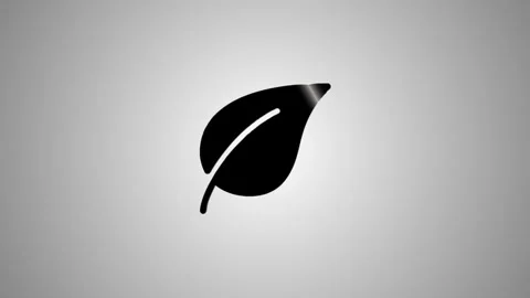 Motion graphics of simple leaf icon animated on gray background with subtle.. Stock Footage 346491254