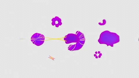 Motion Graphics Transitions - Video stock 289682138