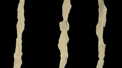 Motion Graphics Video, Torn Paper Texture: Abstract Beige Torn Paper Strips  Stock Footage 293608699
