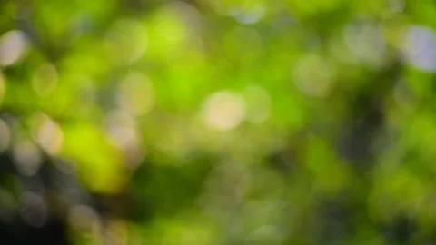 Motion of green bokeh 動画素材 122311531