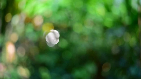 Motion of green bokeh 動画素材 122311927
