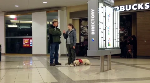 Motion of guide dog and people in front of starbucks coffee Stock Footage 48595508