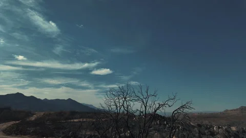 Motion-lapse after the fire in mountains Vídeo Stock 345372093