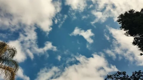 Motion lapse looking up between trees Stock Footage 280319057