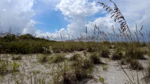 Motion Lapse, Running Clouds, Time-Lapse Fluffy Clouds Stock Footage 216985098