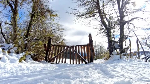 Motion Lapse of a Snowy Winter Landscape with Wooden Gate and Forest Видео 338265050