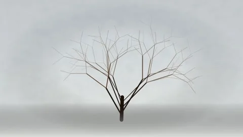 Motion of a leafless tree in winter with gentle wind, minimalistic nature s.. Stock Footage 342547825