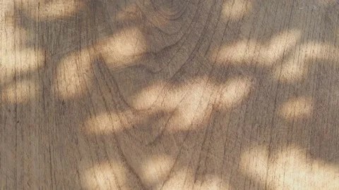 The motion of leaves sunlight natural shadow overlay on wooden Stock Footage 160353318