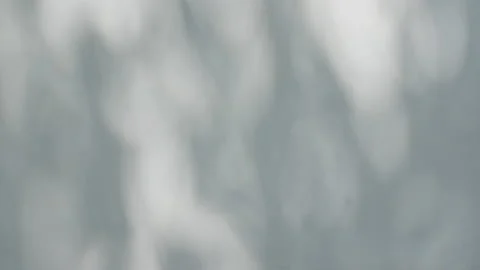 Motion of leaves in wind on the wall background. Transparent blurry shadow of Stock Footage 163918784