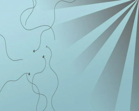 Motion Lines PAL WIDE Stock Footage 306841