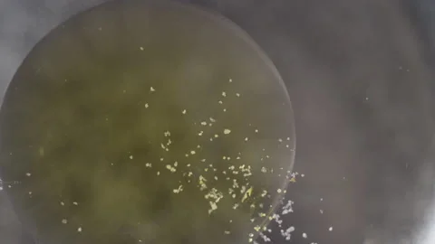 Motion liquid orbs with speckled flakes background texture Stock Footage 130985111