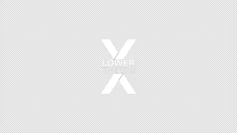 Motion Lower Thirds Promo 動画素材 150229929