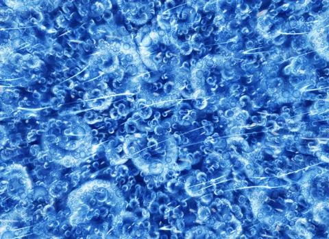 Motion many bubbles in flow transparent water Stock Illustration