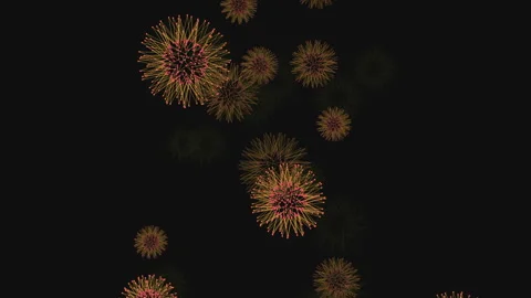 Motion micro organism on black gradient Stock Footage 240299942