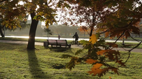 Motion moning in the park 4417.mp4 Stock Footage 32039074