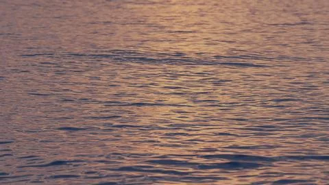 Motion Movement Of Water Surface Ripples And Waves. Swaying Water Surface. Stock Photos