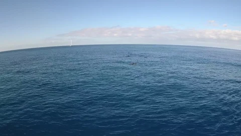 Motion of the Ocean Stock Footage 104796119