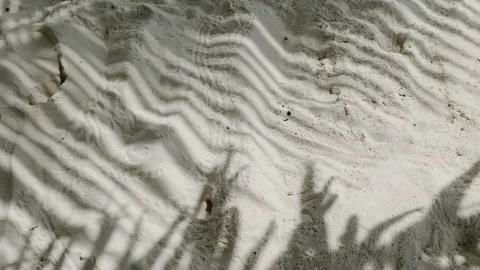 Motion of palm leaf shadow with wind on white sand beach background. Stock Footage 168693851