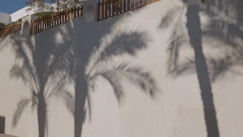 Motion of palm leaf shadow with wind on beige textured wall beach background. Stock Footage 169832192