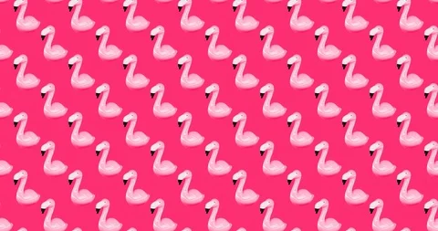 Motion pattern design. Flamingo background minimal Stock Footage 122138247