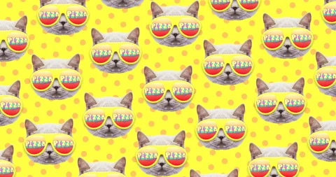 Motion pattern design. Hipster Cat and pizza. Pizza addict concept Stock Footage 100681723