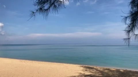 The motion of peaceful blue sea waves on the beach with waving pine branches Stock Footage 196979116