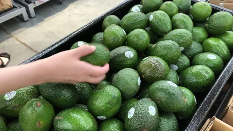Motion of people buying avocado inside Walmart store with 4k resolution Stock Footage 113301022