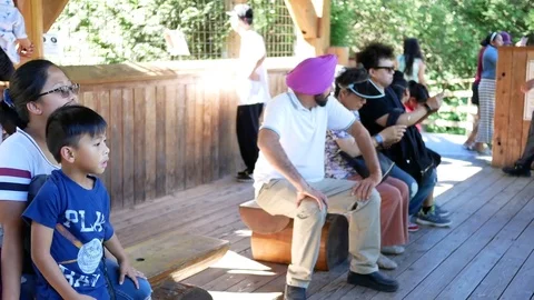 Motion of people seating and chatting at rest area at Vancouver zoo Video stock 79365631