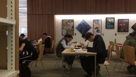 Motion of people studying at coquitlam public library with 4k resolution Stock Footage 97679554